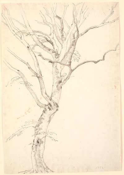 Árbol de haya deshojado de P.C. Skovgaard