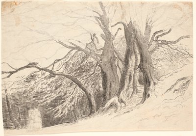 Un acantilado con grandes árboles en un bosque, con dos damas caminando de P.C. Skovgaard