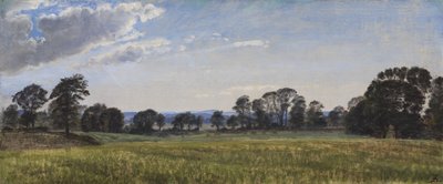 Engene ved Dortheaslyst de P.C. Skovgaard