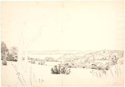 Paisaje con vista sobre el lago Skarrit de P.C. Skovgaard
