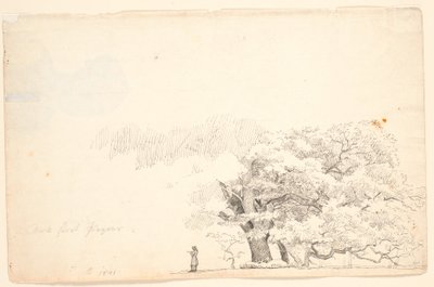 Grandes robles, a la izquierda un hombre leyendo de P.C. Skovgaard