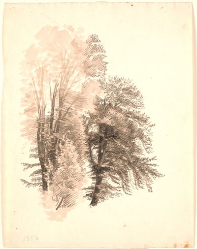 Estudio de la parte superior de algunos árboles de haya de P.C. Skovgaard