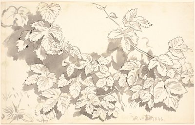 Hoja de estudio. Hojas de roble. de P.C. Skovgaard