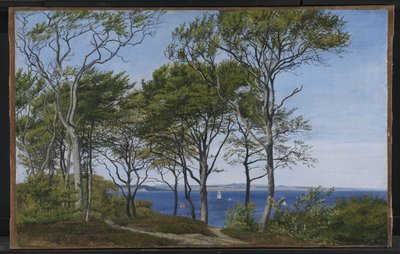 Vista a través de hayas sobre un fiordo de P.C. Skovgaard