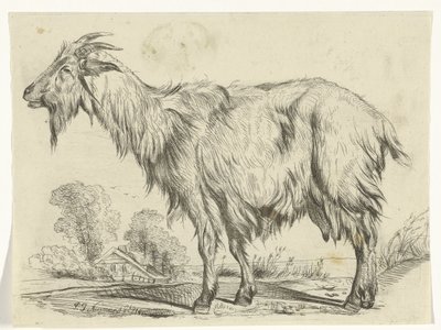 cabra de pie de P.J. Neumans