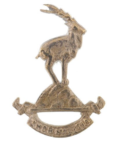 Insignia de gorra, Milicia de Zhob de Pakistani School
