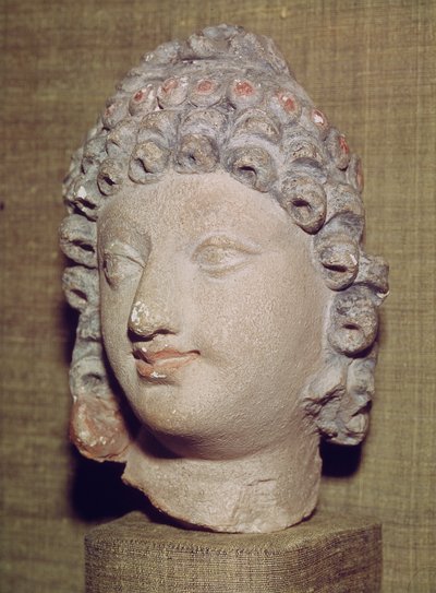 Cabeza de un Buda, estilo greco-budista, siglo I-IV de Pakistani School