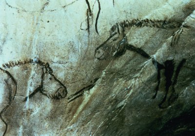 Caballos, pinturas rupestres en la Sala Negra, Magdaleniense (pintura rupestre) de Paleolithic Paleolithic