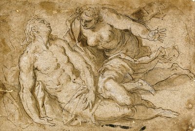 Venus descubriendo al muerto Adonis de Palma Il Giovane