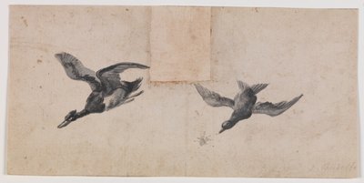 Dos pájaros volando de Pandolfo Reschi