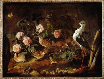 Naturaleza muerta con lechuza e ibis - Nature morte avec une chouette et un ibis ... de Paolo Porpora