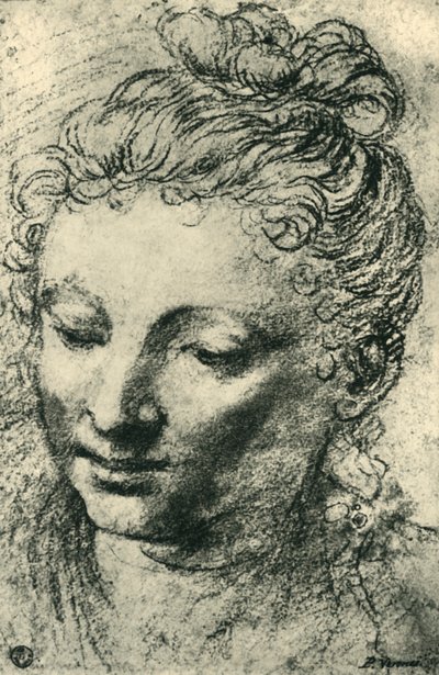 Cabeza de una mujer mirando hacia abajo, mediados del siglo XVI, 1943 de Paolo Veronese