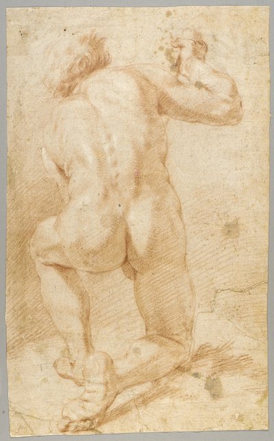 Dibujo de Paolo de Matteis