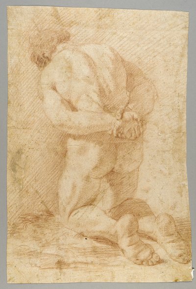 Dibujo de Paolo de Matteis