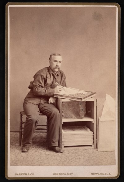 Retrato de Fred Mather 1833-1900 de Parker and Co