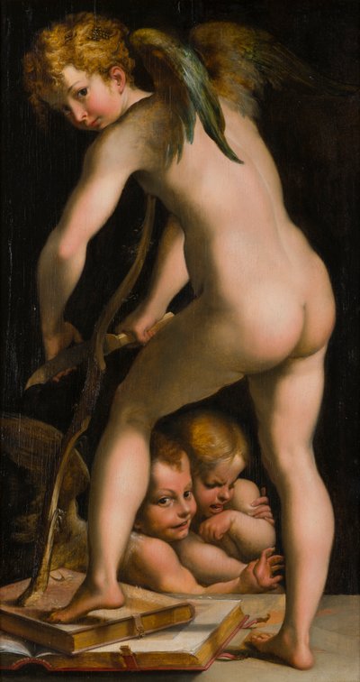 Cupido afeitando su arco, c.1523-40 (óleo sobre lienzo) de Parmigianino 