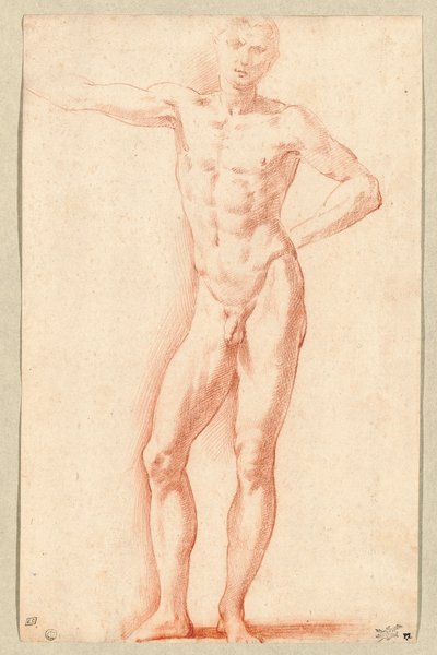 Un desnudo masculino (tiza roja) de Parmigianino (1503-40)
