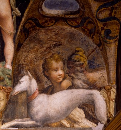 Perro y cazador, del Mito de Diana y Acteón de Parmigianino