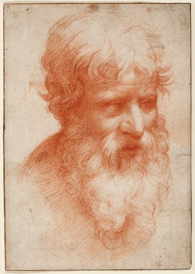 Cabeza de barbudo, mirando a la derecha, c.1523-25 (tiza roja sobre papel) de Parmigianino (1503 40)