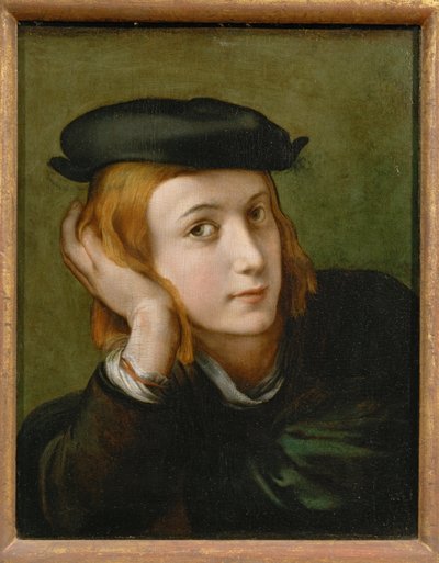 Retrato de un joven ... de Parmigianino (1503-40)