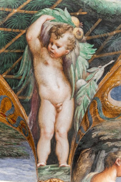 Putto, de la Sala de Diana y Acteón, detalle de 2384753 de Parmigianino