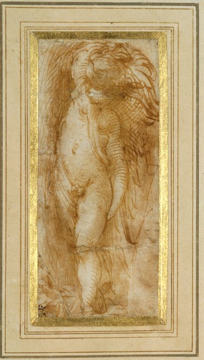Un putto girado a la izquierda de Parmigianino