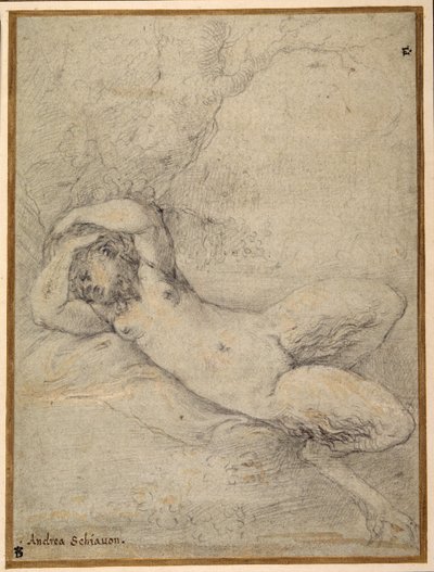 Una sátiro durmiendo bajo un árbol de Parmigianino