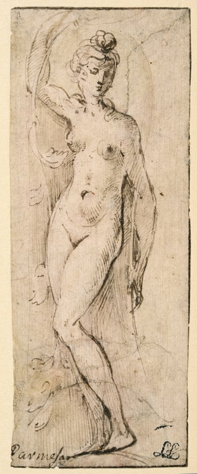 Figura femenina - estudio para Santa Maria della Steccata, Parma (anverso) de Parmigianino