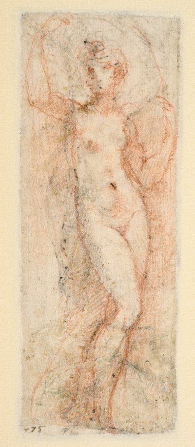 Figura femenina - estudio para la Steccata (verso) de Parmigianino