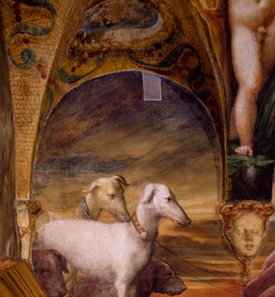Grupo de perros, del Mito de Diana y Acteón de Parmigianino