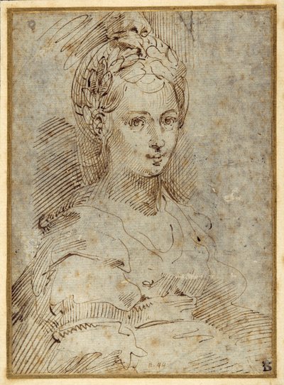 Medio cuerpo de una mujer sentada de Parmigianino