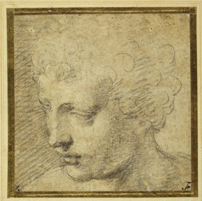 Cabeza de un niño, casi de perfil hacia la izquierda de Parmigianino