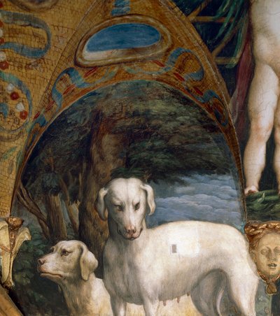 Par de perros, (detalle) del Mito de Diana y Acteón, fresco, lado norte de la Sala de Diana y Acteón, Rocca Sanvitale, Fontanellato, cerca de Parma, Italia, circa 1524 de Parmigianino