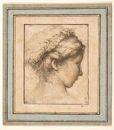 Cabeza de perfil de una niña mirando a la derecha de Parmigianino