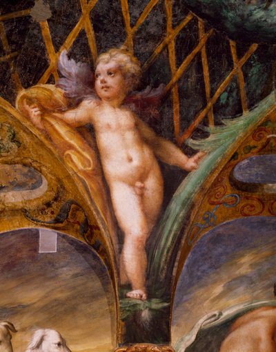 Putto, del Mito de Diana y Acteón de Parmigianino