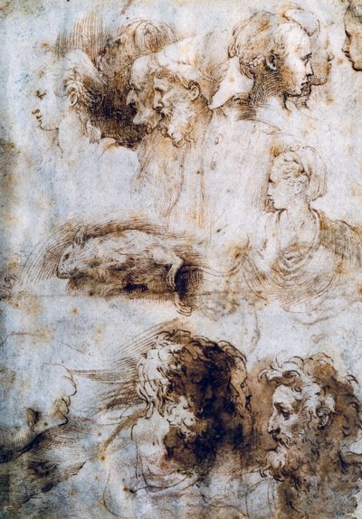 Estudio de un ratón muerto, perfiles masculino y femenino de Parmigianino