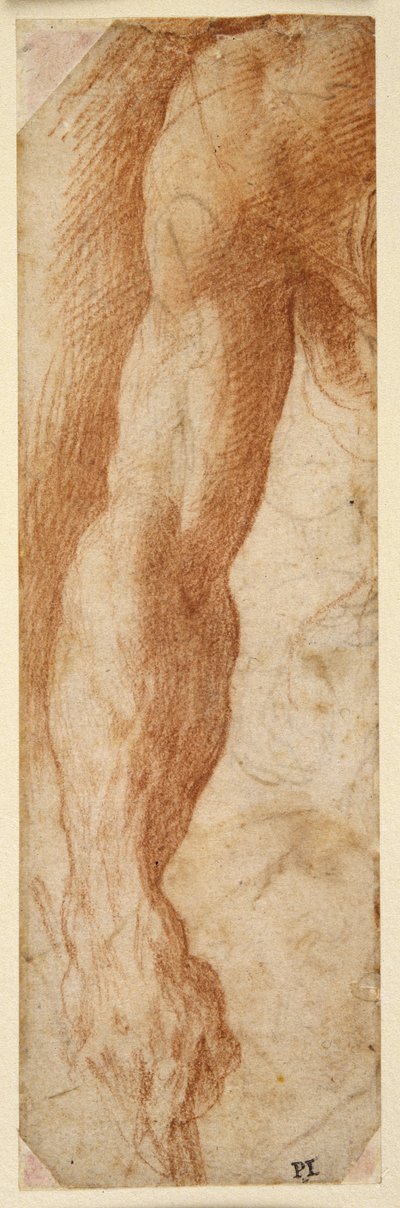 Estudio del brazo derecho de un hombre, su mano sosteniendo un palo de Parmigianino