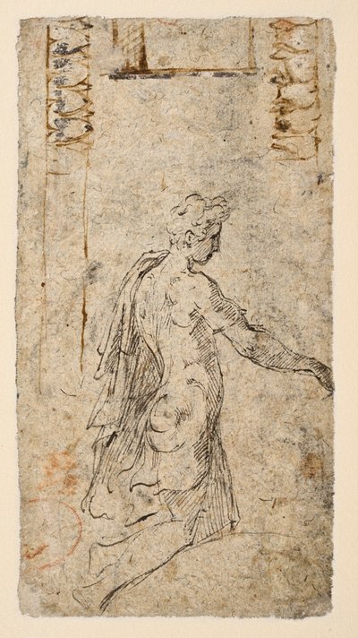 Estudio de un joven arrodillado (verso) de Parmigianino