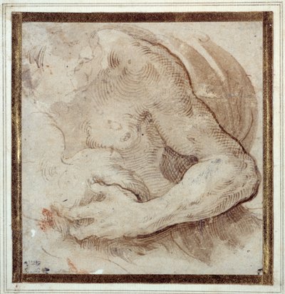 Estudio del brazo izquierdo, pecho y cabeza de un hombre con barba de Parmigianino