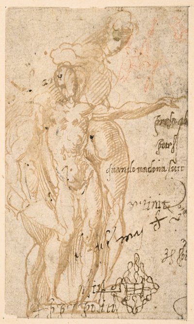Estudio de tres figuras desnudas (anverso) de Parmigianino