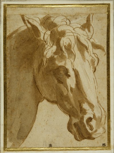 La cabeza y el cuello de un caballo de Parmigianino