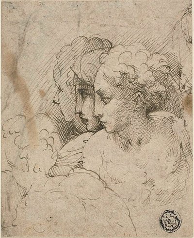 Cabezas femeninas de Parmigianino