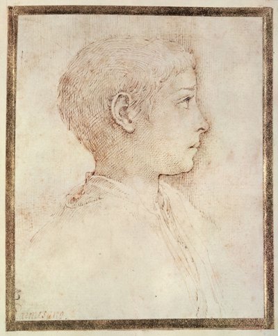 Cabeza de un niño de Parmigianino