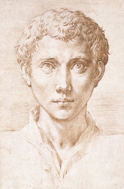Cabeza de un joven mirando hacia arriba de Parmigianino