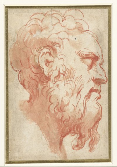 Cabeza de un anciano, en perfil a la derecha de Parmigianino