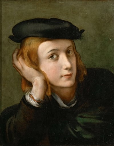 Retrato de un niño, ca 1524 de Parmigianino