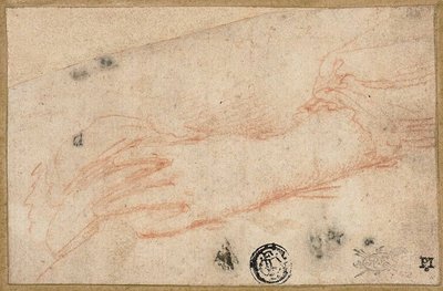 Croquis de la mano y la muñeca izquierdas de Parmigianino