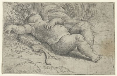 cupido durmiente de Parmigianino