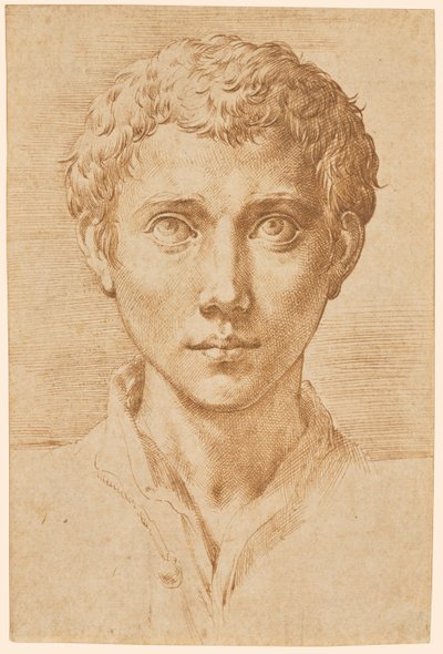 La cabeza de un joven de Parmigianino