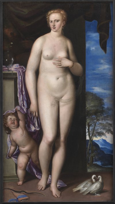 Venus y Cupido de Parrasio Micheli
